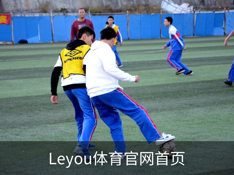 Leyou体育官网首页简介